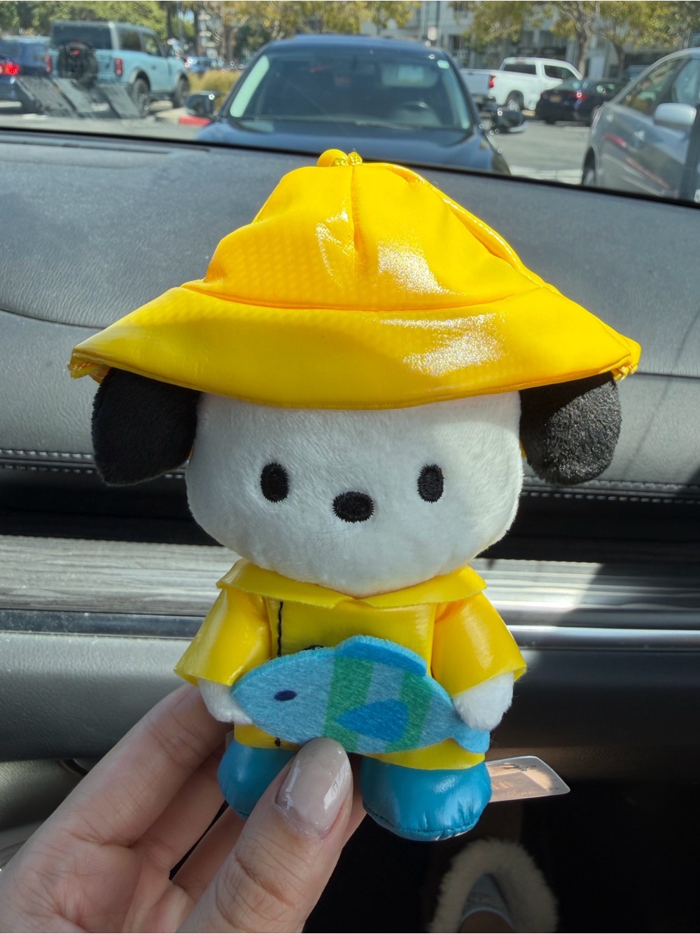 Sanrio Pochacco Plush keychain with Fish